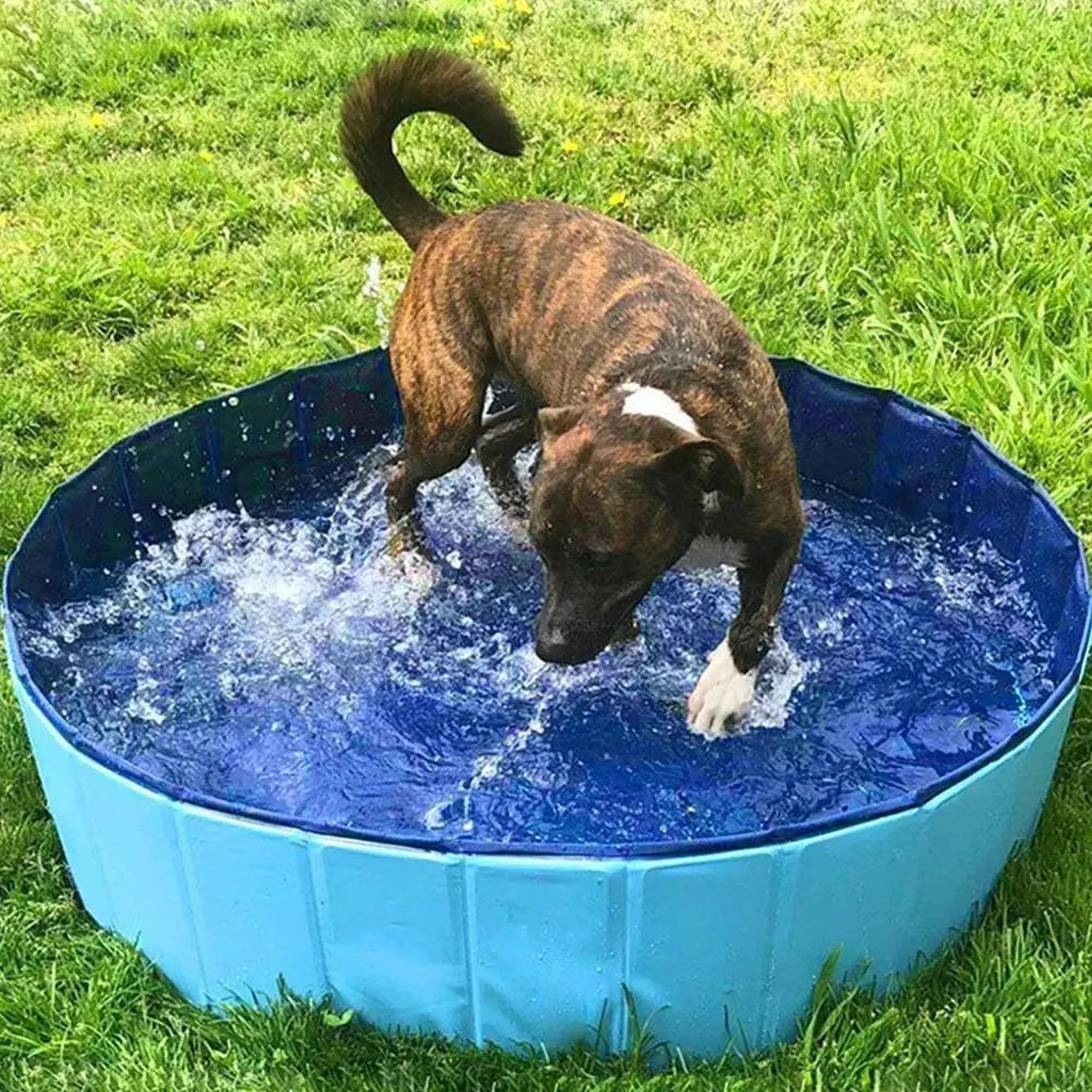 Foldable Pet Dog Bathing Tub Pool for Small Dogs Cat